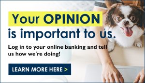 Member Feedback Survey