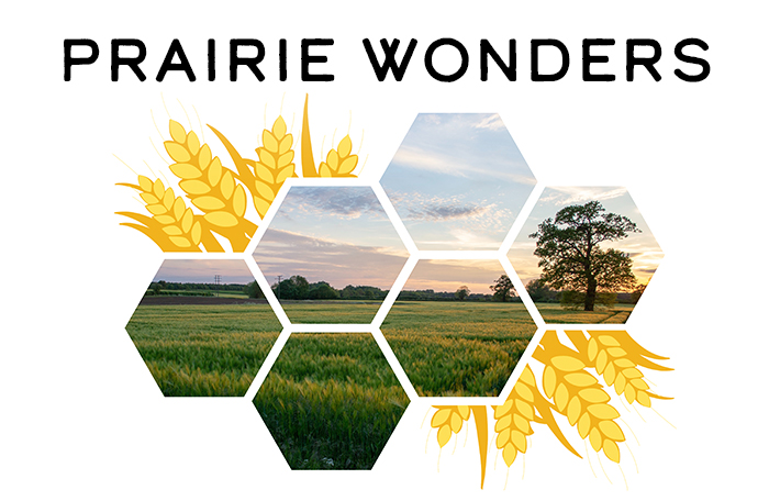 Contest Calendar 2022 Prairie Wonders" 2022 Calendar Contest On Now! - Westoba