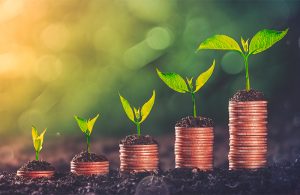 Westoba's Preferred Shares Payout