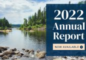 AnnualReport_NowAvailable_HomepageMobileBanner_960x550