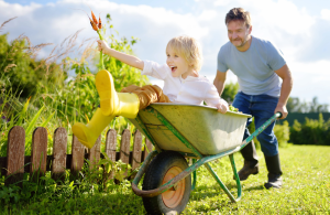 A happy child sitting in a wheelbarrow weating yellow rainboots that is getting pshed by their parent in front of an agricultural background/