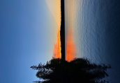 photo contest photo 2021