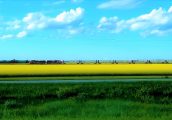 Manitoba prairie (2)